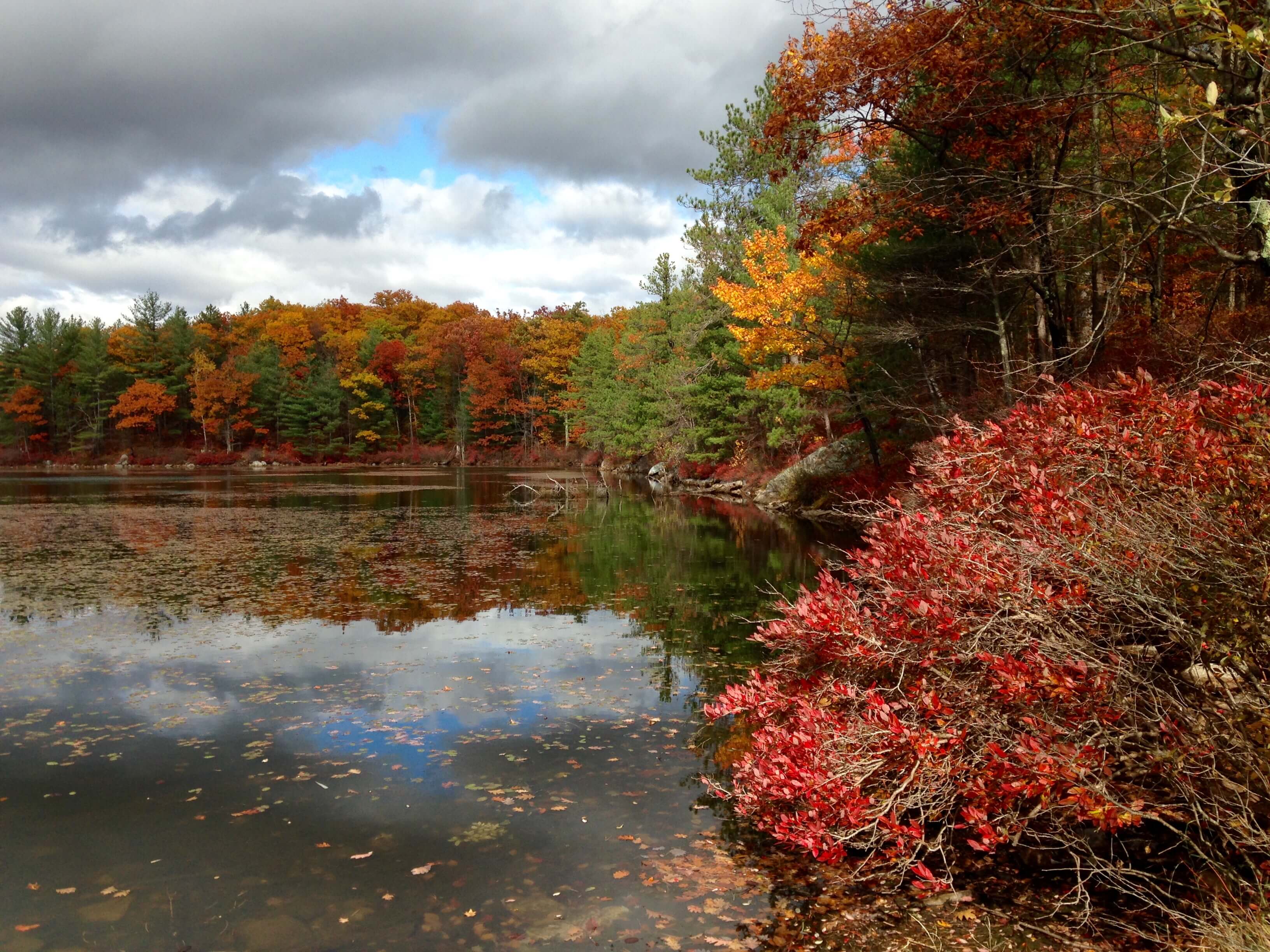 Fall is here - Pine Hill Park, Rutland, Vermont