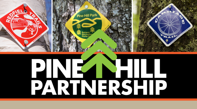 economic impacts of pine hill reported