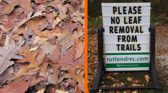 Please no leaf removal